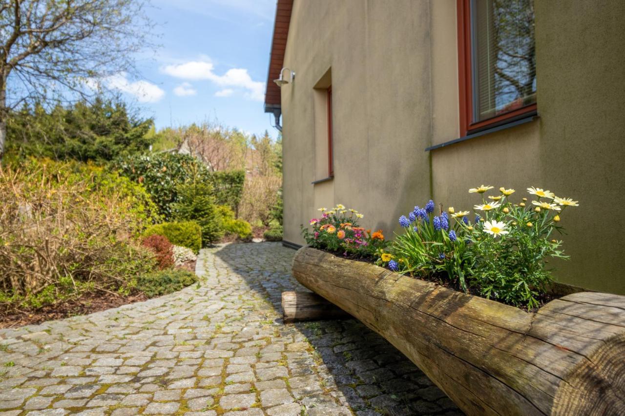 Family House Tisa Villa Екстериор снимка